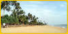 Tangerine Beach Hotel 